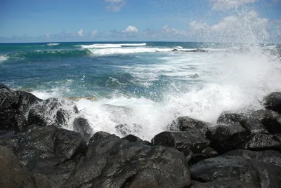 2007_05_30_HAWAII (59) (Large).JPG